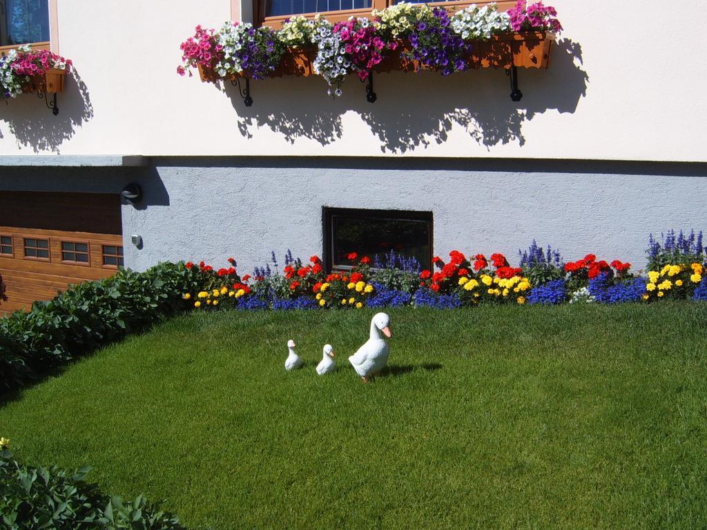 Pension Felsenheim Ramsau am Dachstein Exterior foto