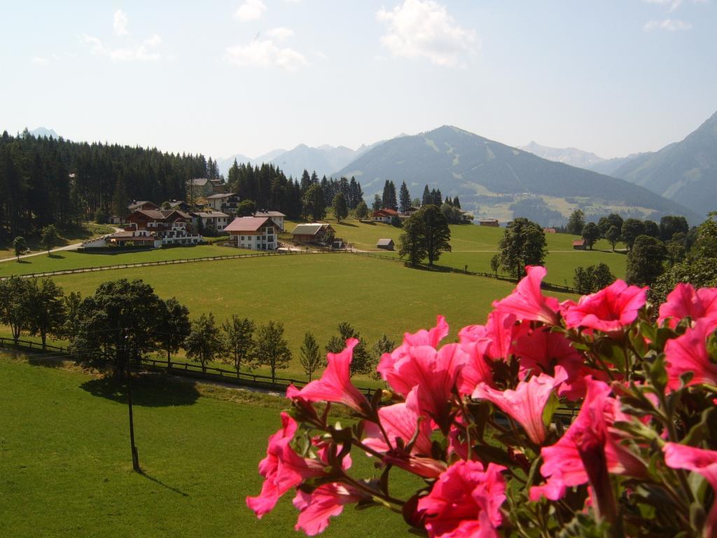 Pension Felsenheim Ramsau am Dachstein Cameră foto