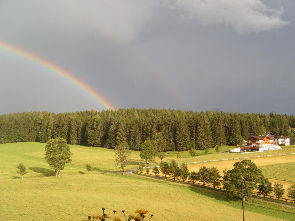 Pension Felsenheim Ramsau am Dachstein Cameră foto